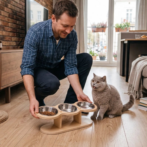 gamelle chat surélevée bois clair maitre chat debout salon