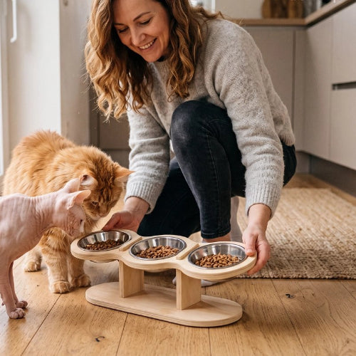 gamelle chat surélevée bois clair maitresse chats cuisine