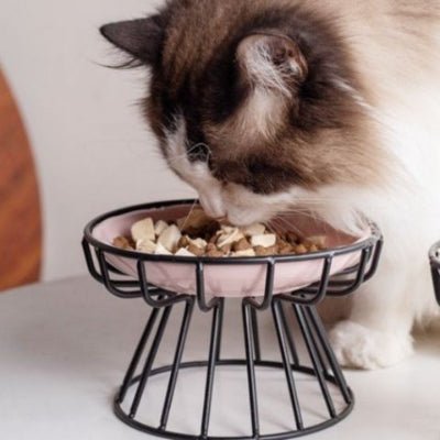 Gamelle chat surélevée | Bol en Céramique - Mon Adorable Félin