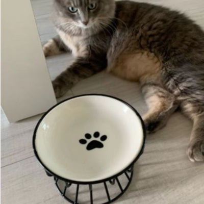 gamelle-chat-surélevée-bol-en-ceramique-anti-stress