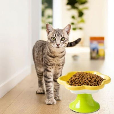 gamelle-chat-surélevée-fleur-en-céramique-jaune
