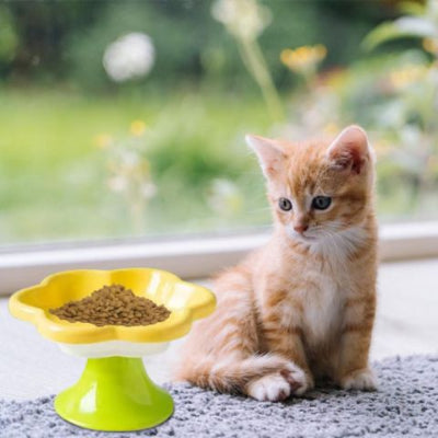 gamelle-chat-surélevée-fleur-en-céramique