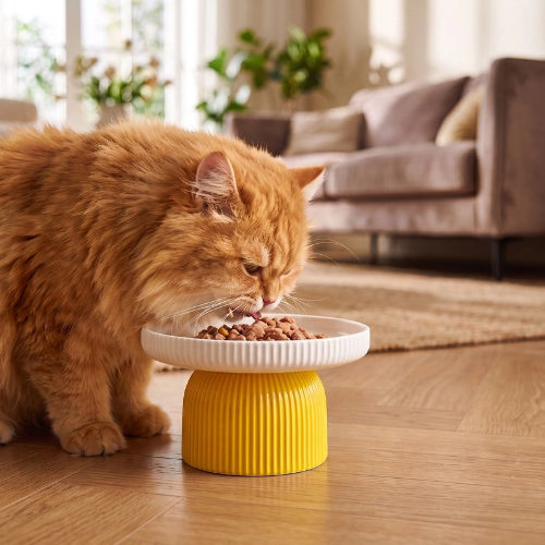 gamelle chat surélevée jaune motif cotele chat mangeant salon