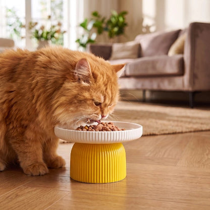 gamelle chat surélevée jaune motif cotele chat mangeant salon