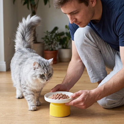 gamelle chat surélevée jaune motif cotele maitresse chat salon