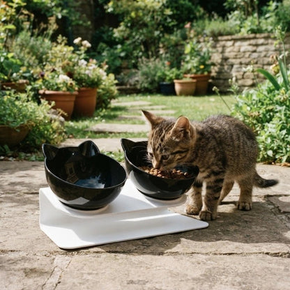 gamelle chat surélevée noir chaton mangeant jardin