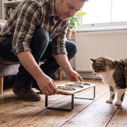 gamelle chat surélevée plateau en bois maitre chat debout