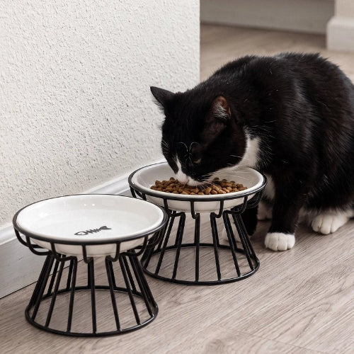 gamelle chat surélevée support metallique noir chat mangeant