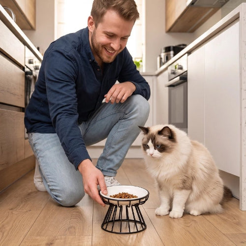 gamelle chat surélevée support metallique noir maitre chat cuisine