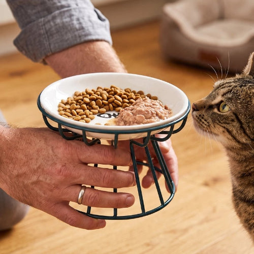 gamelle chat surélevée support metallique vert