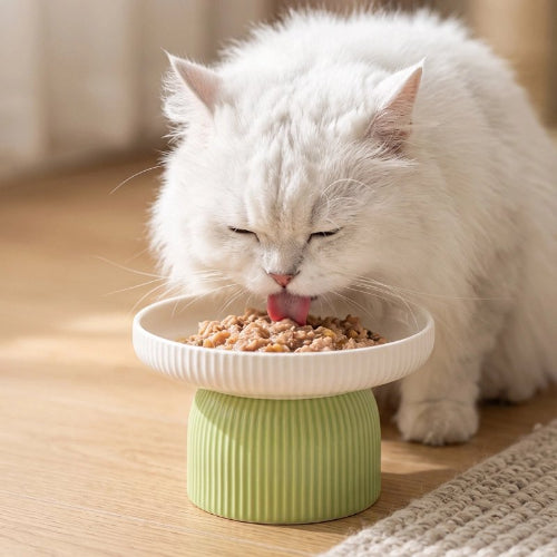 gamelle chat surélevée vert motif cotele chat mangeant