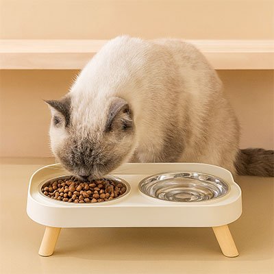 gamelle pour chat design epure couleur blanche avec chat mangeant