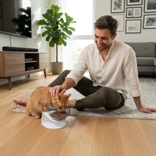 gamelle pour chat design incline transparent maitre chat mangeant