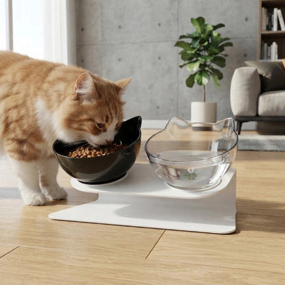 gamelle pour chat double gamelle noir chat mangeant
