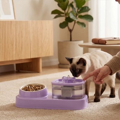 gamelle pour chat violet ensemble 2 en 1 salon