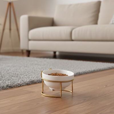 gamelle surelevee chat support metal dore dans salon