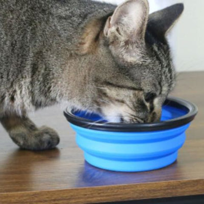 gamelles-chat-portable-bleu