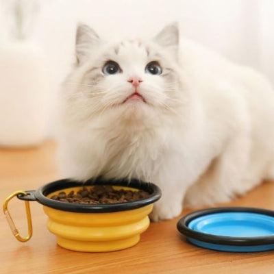 gamelles-chat-portable