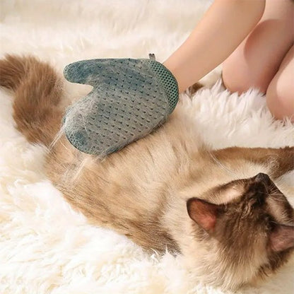 gant de toilettage moufle bleu fonce chat allonge