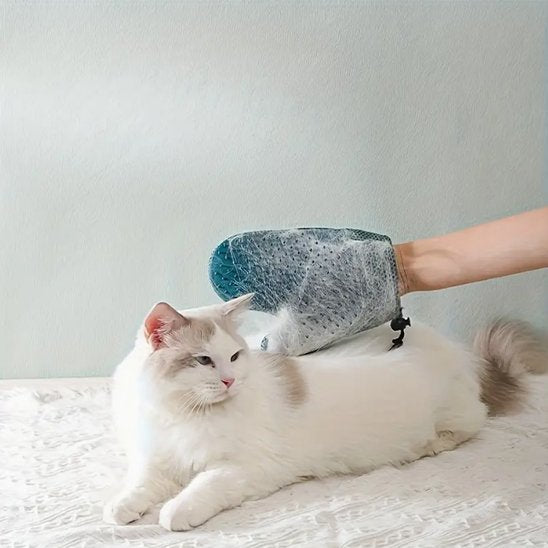 gant de toilettage moufle bleu fonce chat blanc allonge