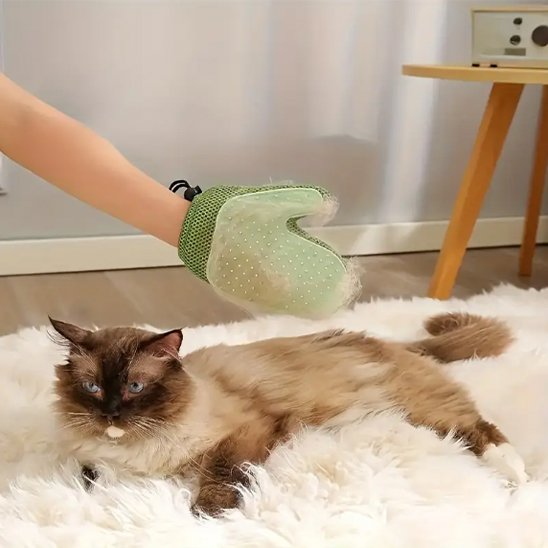 gant de toilettage moufle vert chat allonge salon