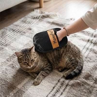 gant de toilettage noir magique chat tapis salon