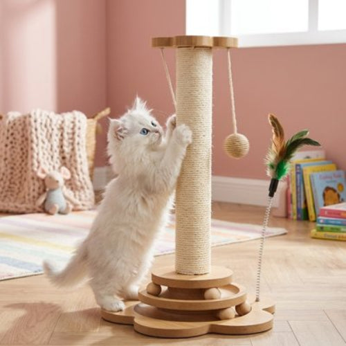 griffoir chat bois massif chat debout chambre