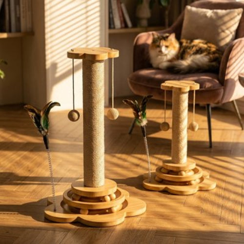 griffoir chat bois massif multi taille chat allonge salon