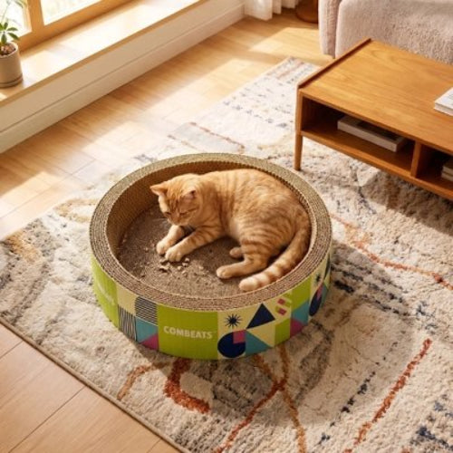 griffoir chat carton design circulaire chat griffant salon