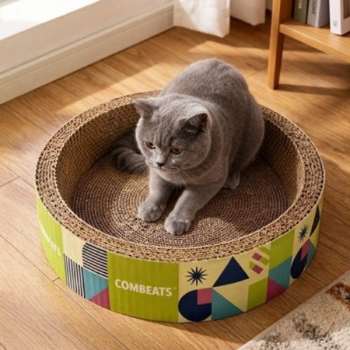 griffoir chat carton design circulaire salon chat allonge