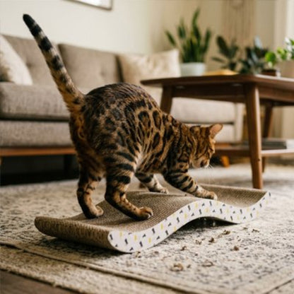 griffoir chat carton design vague chat debout salon