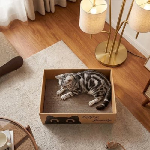 griffoir chat carton durable chat allonge salon