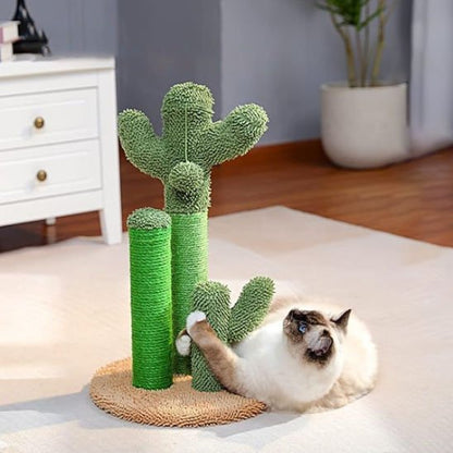 griffoir chat design cactus bicolore chat jouant