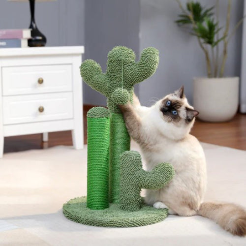 griffoir chat design cactus unicolore chat griffant