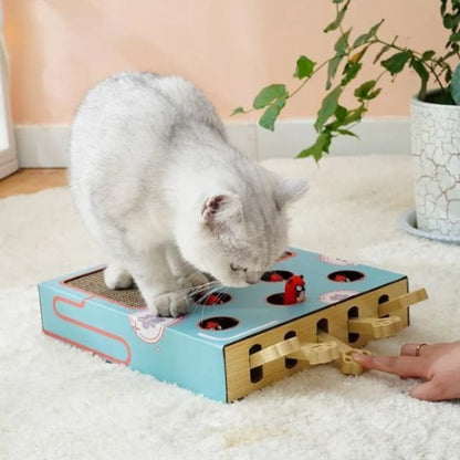 griffoir chat design interactif multifonction chat jouant