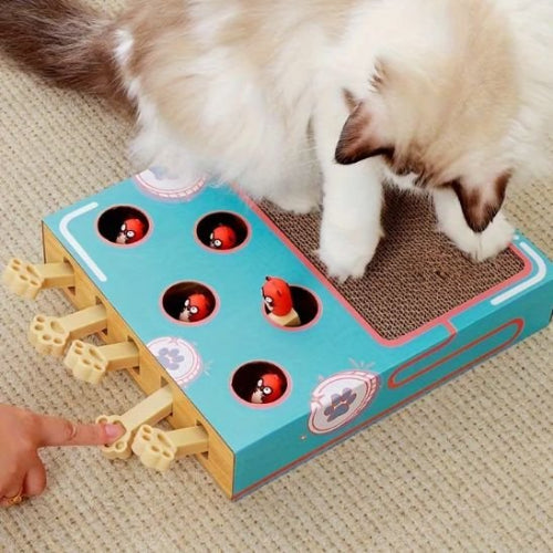 griffoir chat design interactif multifonction chat griffant