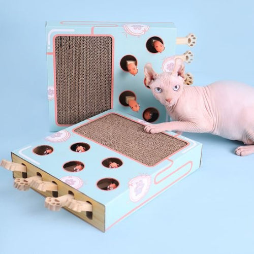 griffoir chat design interactif multifonction
