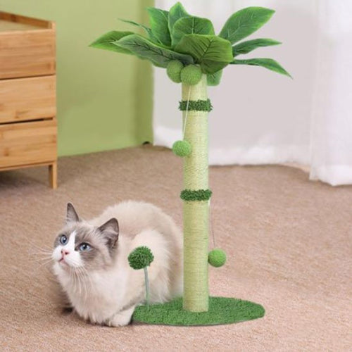 griffoir chat design palmier chat allonge salon