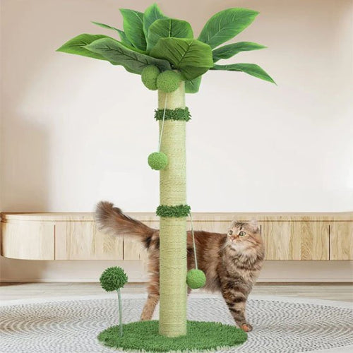 griffoir chat design palmier chat debout salon