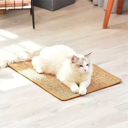 griffoir chat design tapis chat allonge