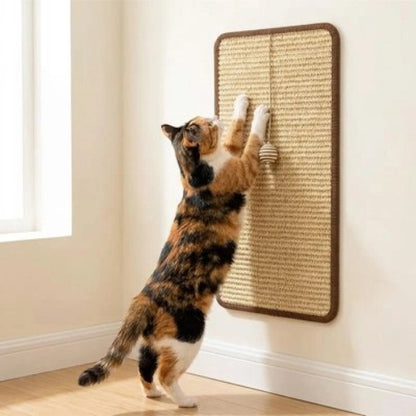 griffoir chat durable chat debout griffant