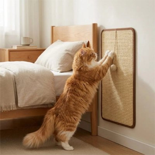 griffoir chat durable chat griffant chambre