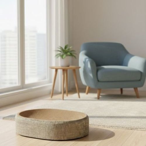 griffoir chat elegant fauteuil salon