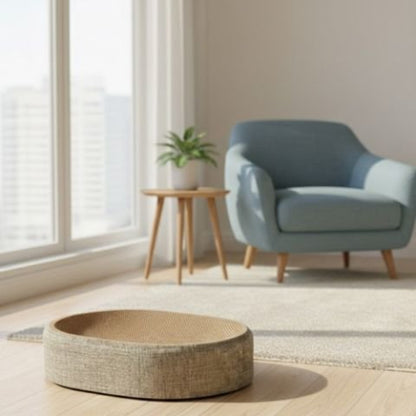 griffoir chat elegant fauteuil salon