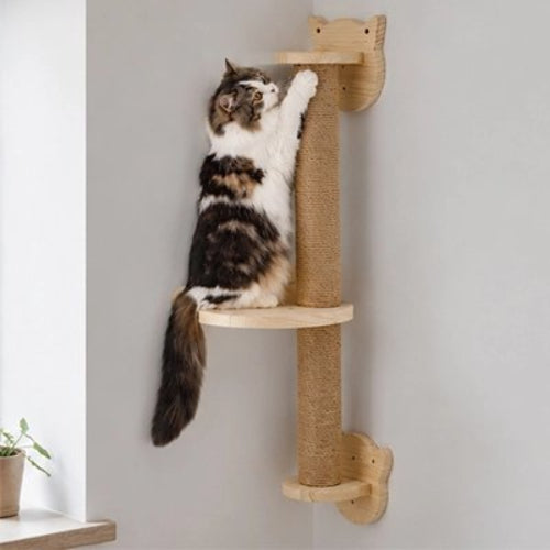 griffoir chat fixation murale chat debout