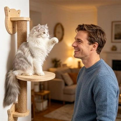 griffoir chat fixation murale maitre chat assis
