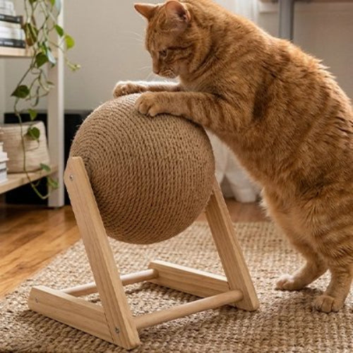griffoir chat format en l chat griffant