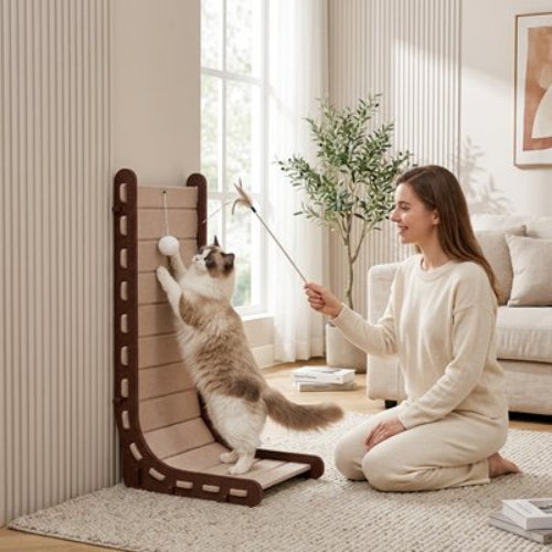 griffoir chat marron incurve maitresse chat jouant salon