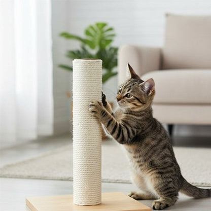 griffoir chat pour arbre a chat chaton debout