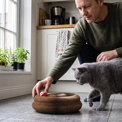 griffoir chat spirale maitre chat debout cuisine